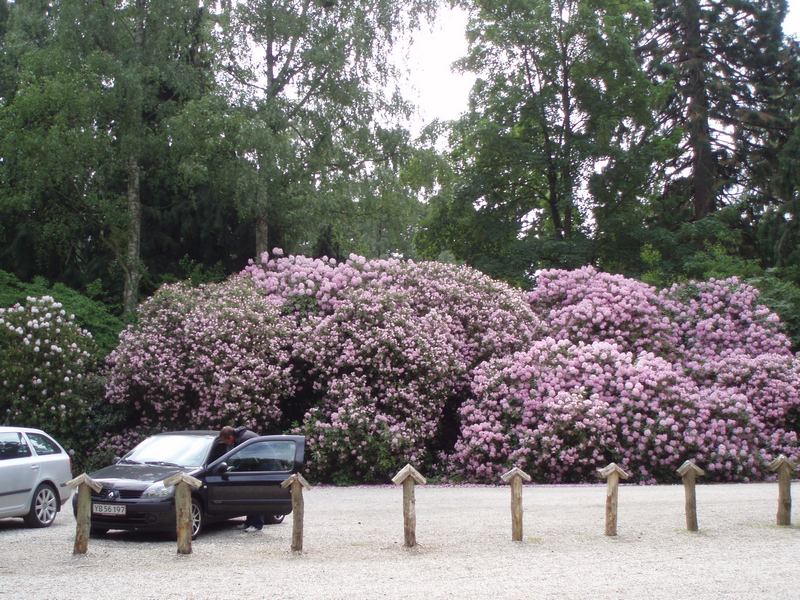 foraar_sommer_2011_09