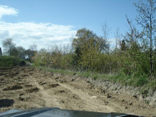 groentbevis21-04-07-054 