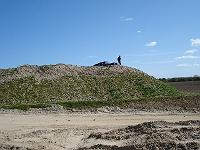 groentbevis21-04-07-013 